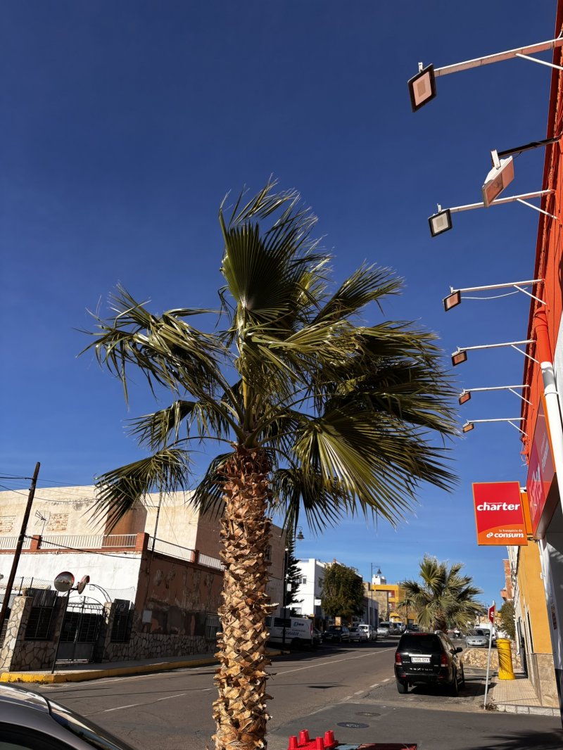 Španělsko zima 2026