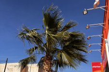 Španělsko zima 2026